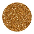 Miyuki - Round 11/0 - Matted Dark Gold Silver Lined - 10g