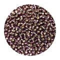 Miyuki - Round 11/0 - Dark Smoky Amethyst Silver Lined - 10g