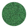 Miyuki Delica 11/0 - Lined Green Lime - 5g