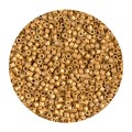 Miyuki Duracoat Delica Galvanized Matted Gold 11/0 - 2mm - 5g