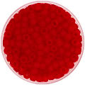 TOHO - Round 6/0 - Transparent-Frosted Siam Ruby