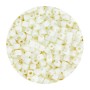 Miyuki Square Bead 1,8mm - Matted Opaque Cream - 5g