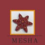 Gedruckte Anleitung - Mesha - der Stern von 2021