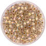 TOHO - Round 6/0 - Gold-Lined Rainbow Crystal